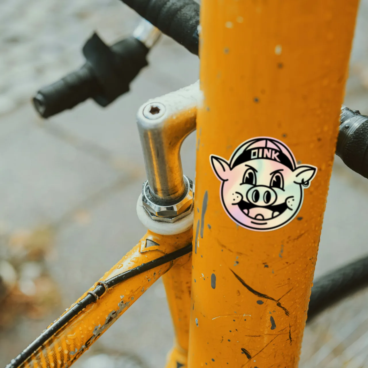 Oink Sticker Outdoor